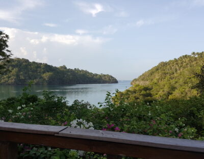 Diving at Lembeh Island
